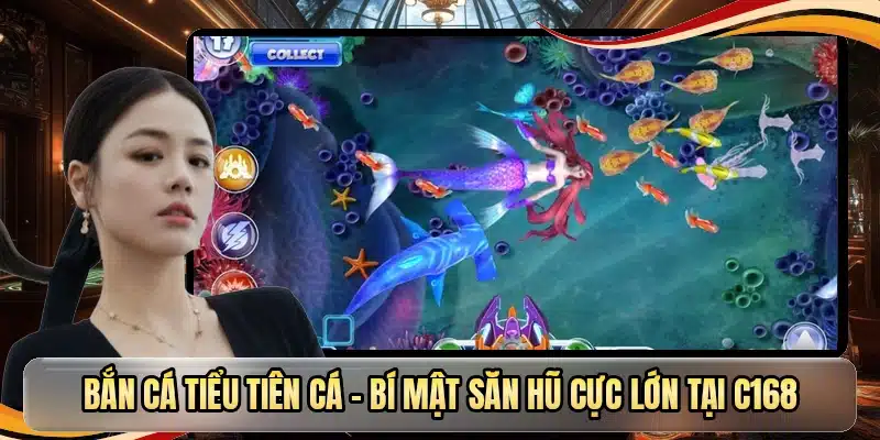 Bắn cá tiểu tiên cá