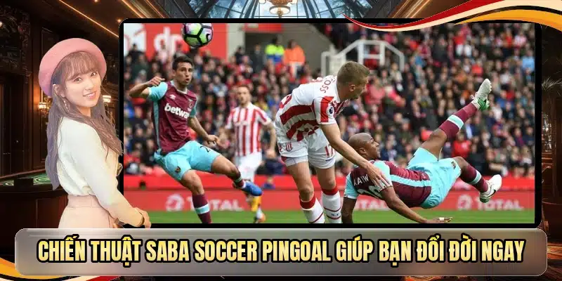 Chiến thuật Saba Soccer Pingoal giúp bạn đổi đời ngay