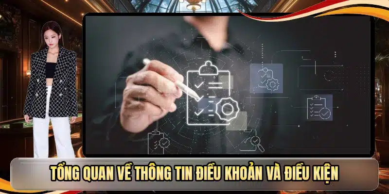 Tổng quan về thông tin điều khoản và điều kiện