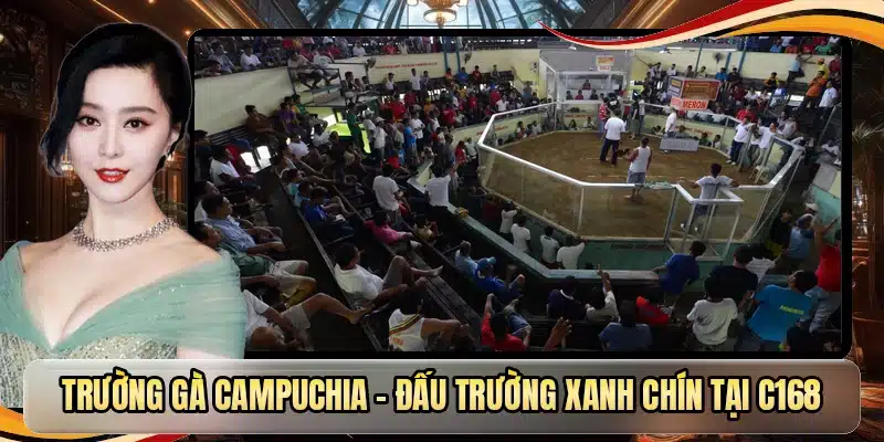 Trường gà Campuchia