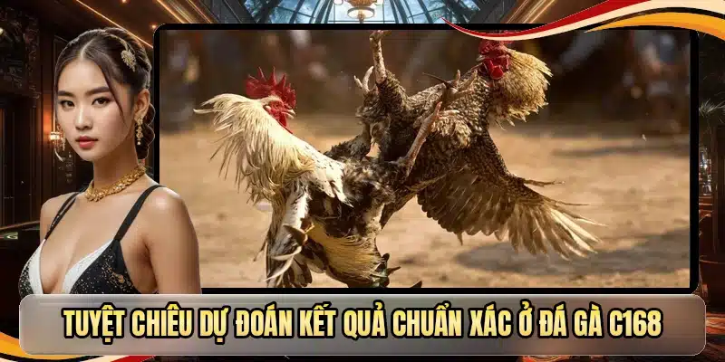 Tuyệt chiêu dự đoán kết quả chuẩn xác ở đá gà C168